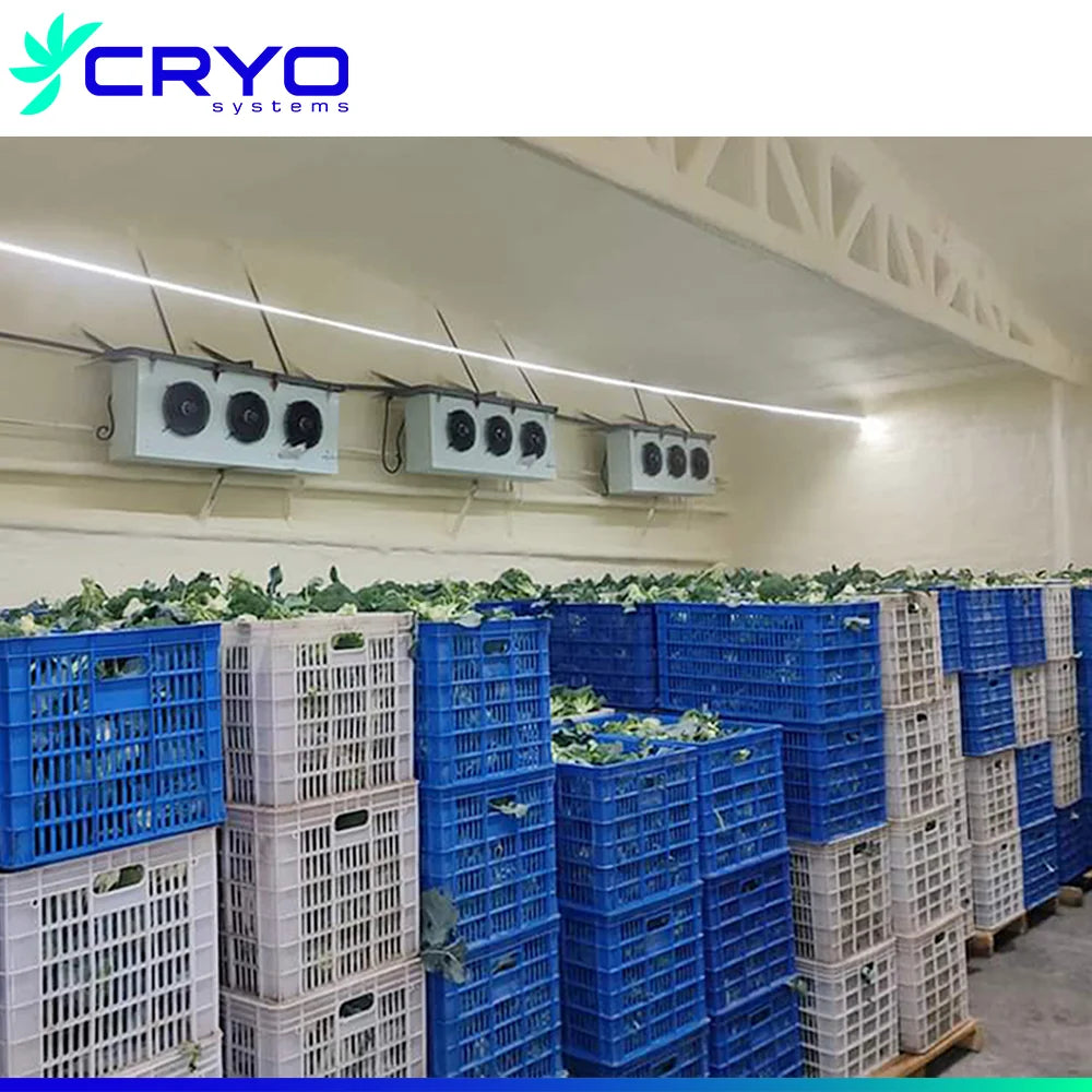 walk in cold room for meat fish cooling room cold storage coldroom frozen food cold room
