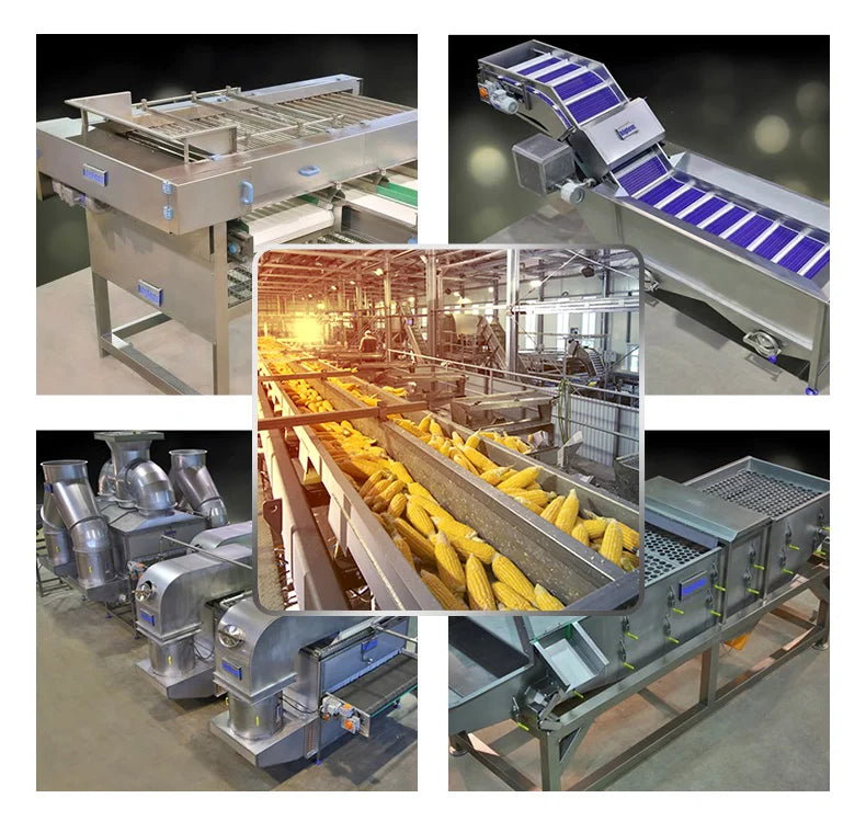 TCA full automatic industrial Cucumbers tomatoes leafy vegetable cutting machine production line