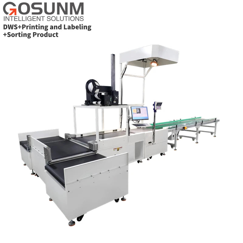 Parcel Sorting Machine Mail Sorting Courier Sorting Conveyor System for Post and Express Sorting with Dws