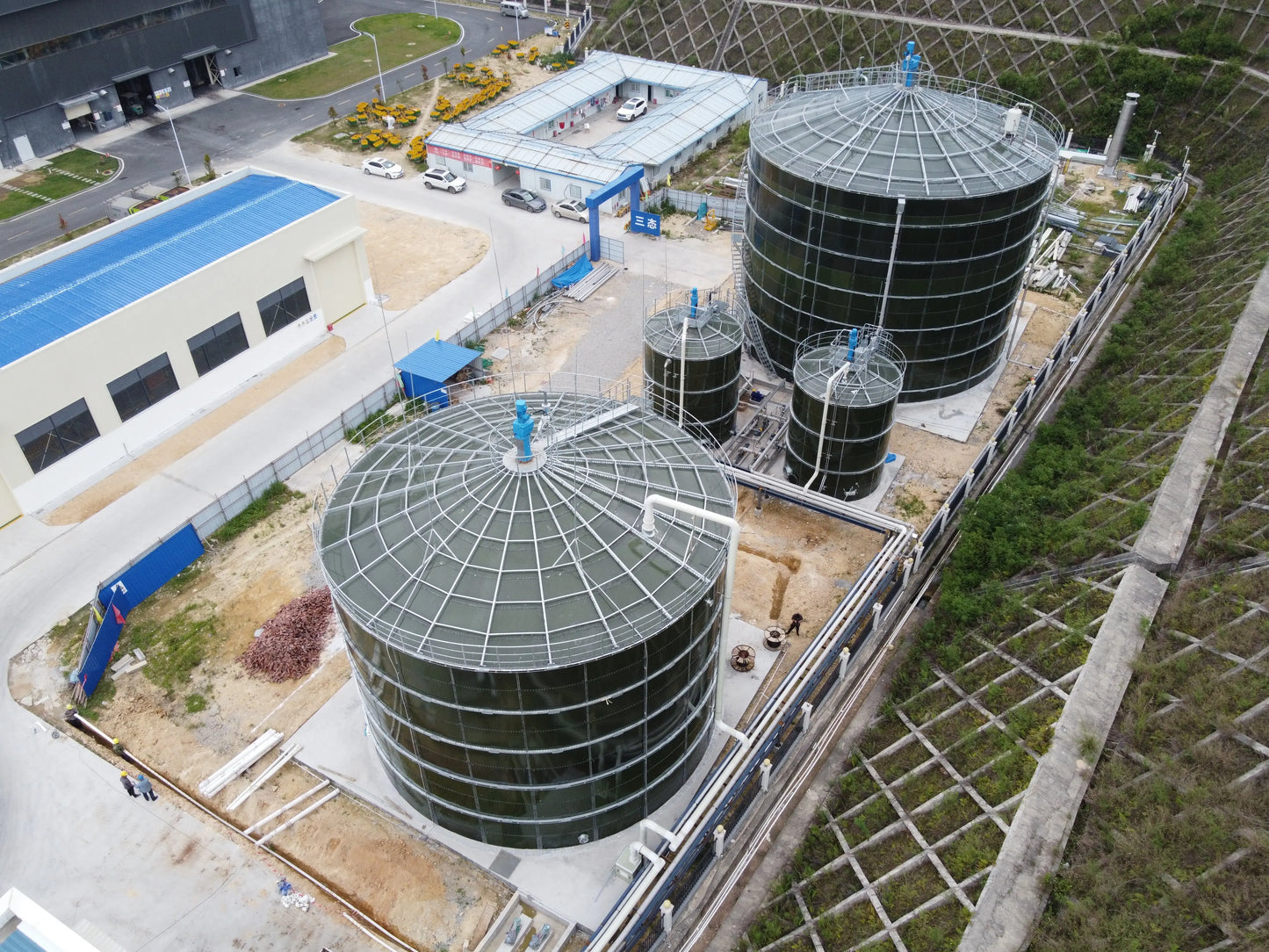 BLX Best selling Newest slaughter plant waste digester for professional biogas equipment
