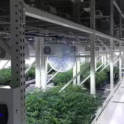 Customizable Grow Container Intelligent Vertical Farm Agricultural Equipment for Indoor Medical Plants Cultivation