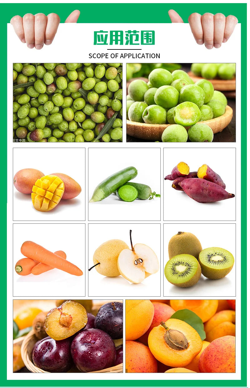fruit coring slicing and peeling half cutting machine