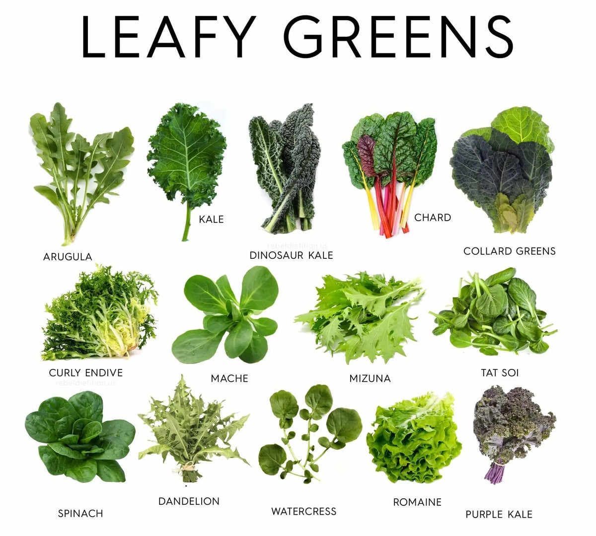 40HQ Farming Container Hydroponic Vertical Farm Pro-leaf research commercial plant factory Salad lettuce strawberry hemp tomato