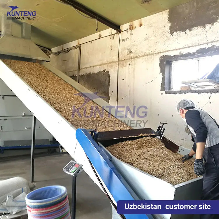 New type automatic seafood drying machine meat drying cabinet tunnel oven drying line