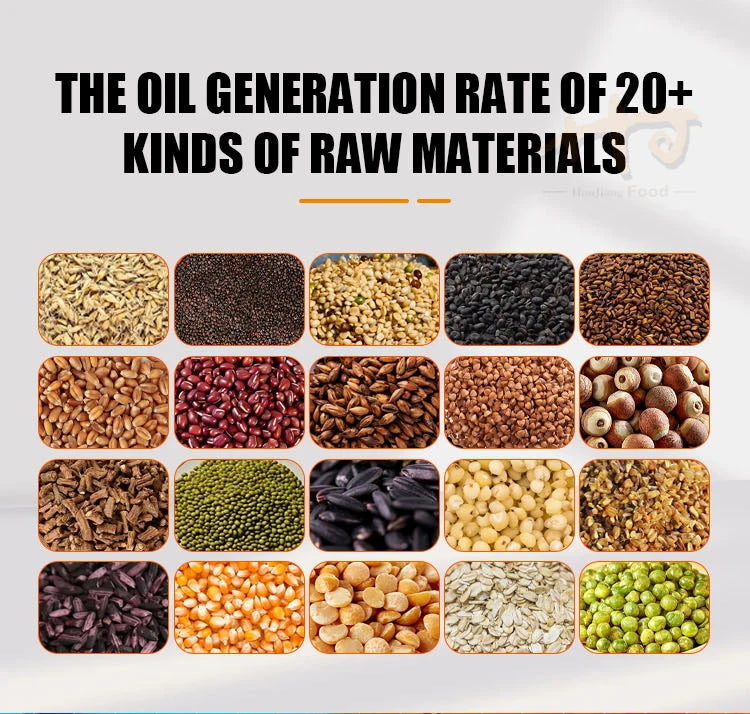 Factory price automatic oil press machine cold oil press machine grape seed oil press machine for sale