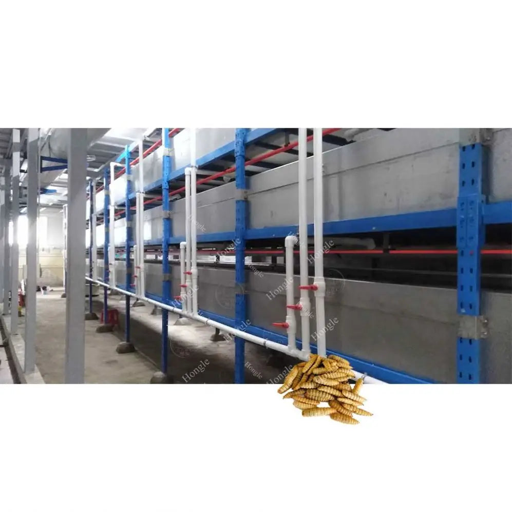 Black Soldier Fly Farm Equipment Automatic Black Soldier Fly Breeding Equipment