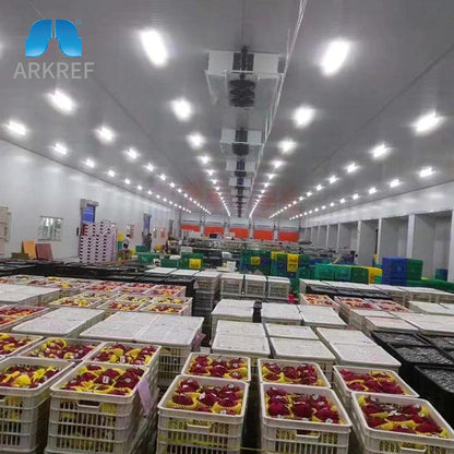 Energy Saving Refrigeration Fresh Potato Apple Fruit Vegetable Prefabricated Cold Storage Cold Room Warehouse Price