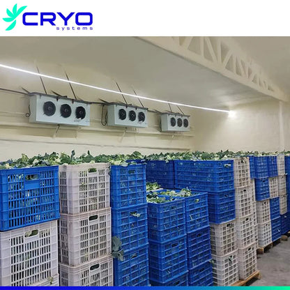 walk in cold room for meat fish cooling room cold storage coldroom frozen food cold room