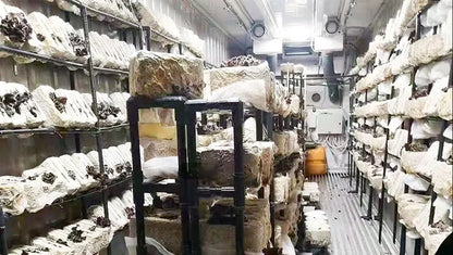 Mushroom Container Growing Equipment Farming Shipping Container Farm Vertical Hydroponics System