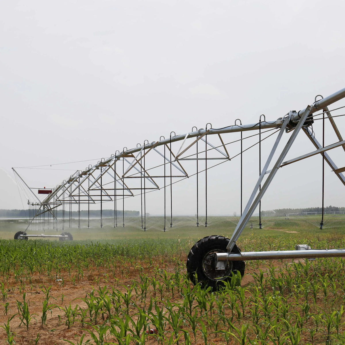 Agriculture DYP Central Pivots Irrigator Fixed Center Pivot Irrigation System