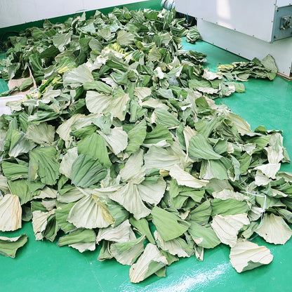 Industrial Commercial Food Dehydrator Vegetable Fruit Freeze Drying Machine Dryer Supplier