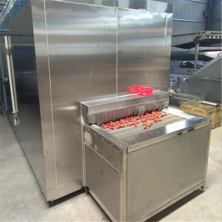 IQF machine industrial Quick belt tunnel freezer with 150 kg capacity for fruits and vegetables freezing process