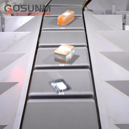 Factory Manufacturing Intelligent Express Parcel Sorting and Conveying System Professional DWS Circulation Sorting Line