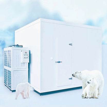 China Manufacture Walk Cold Fish Storage Freezer -60 Degree Cold Room Refrigerator Unit For Ship