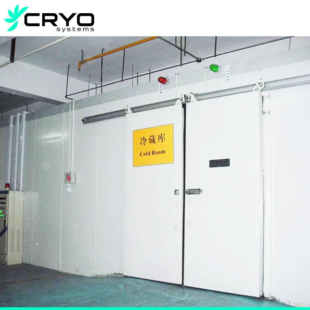 Large and Practical Cold Storage Room for Various Applications Freezer Room Efficient Walk in Cold Room