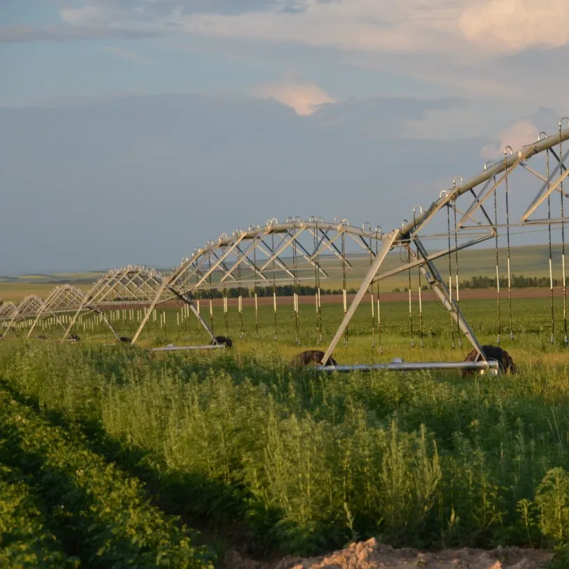 2023 Best Selling Center Pivot Irrigation Equipment With Solar Energy Used Center Pivot Irrigation