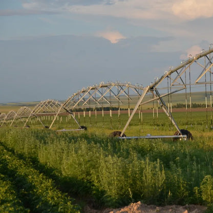 2023 Best Selling Center Pivot Irrigation Equipment With Solar Energy Used Center Pivot Irrigation