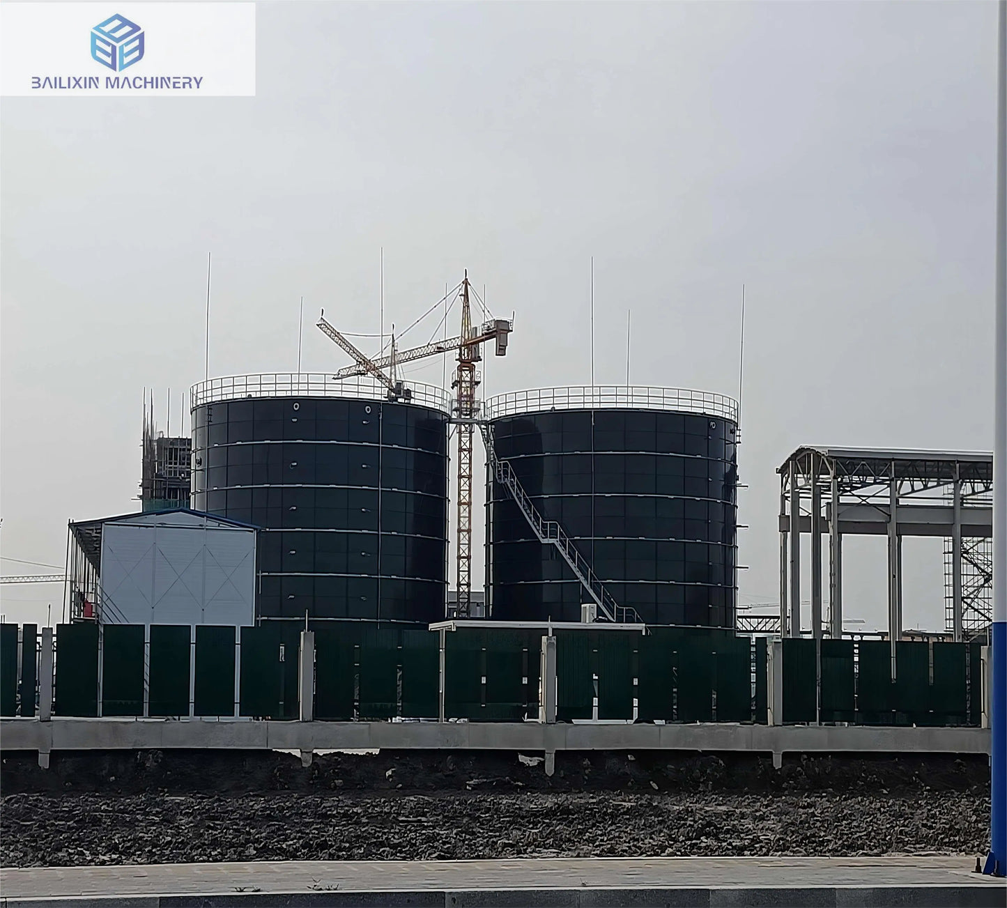 BLX Best selling Newest slaughter plant waste digester for professional biogas equipment