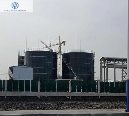 BLX Best selling Newest slaughter plant waste digester for professional biogas equipment