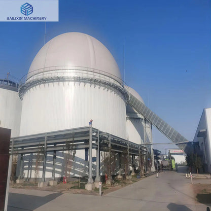 BLX Best selling Newest slaughter plant waste digester for professional biogas equipment
