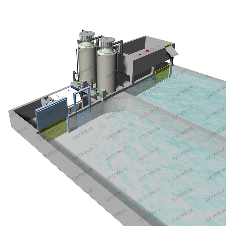 CATAQUA Raceway Tank RAS Recirculating Aquaculture Equipment Arowana Fish Farm Aquarium Systems