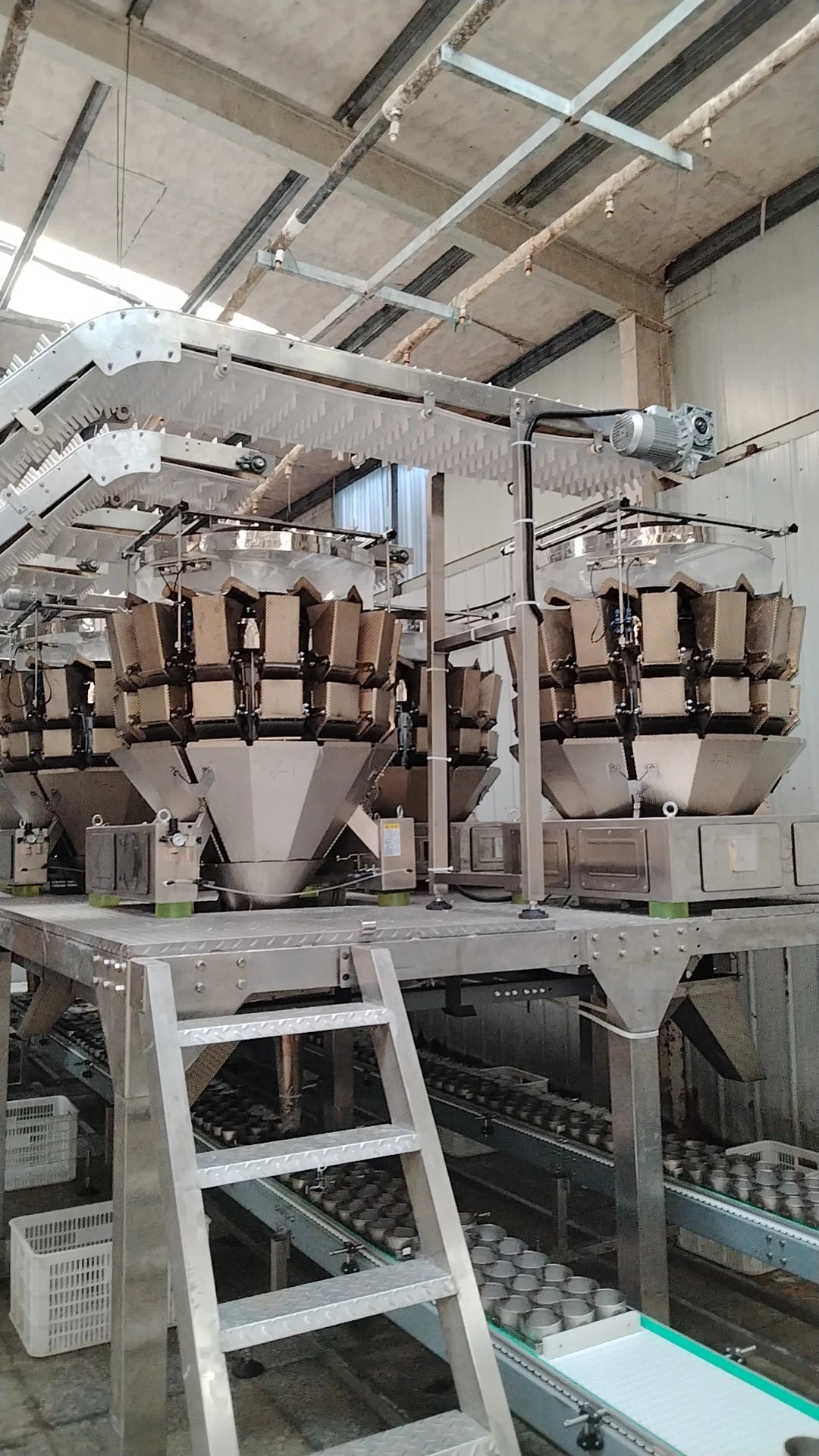 Automatic multihead weigher for rice noodle packaging machine /Smart Weigh Rice Noodles Packaging Machine