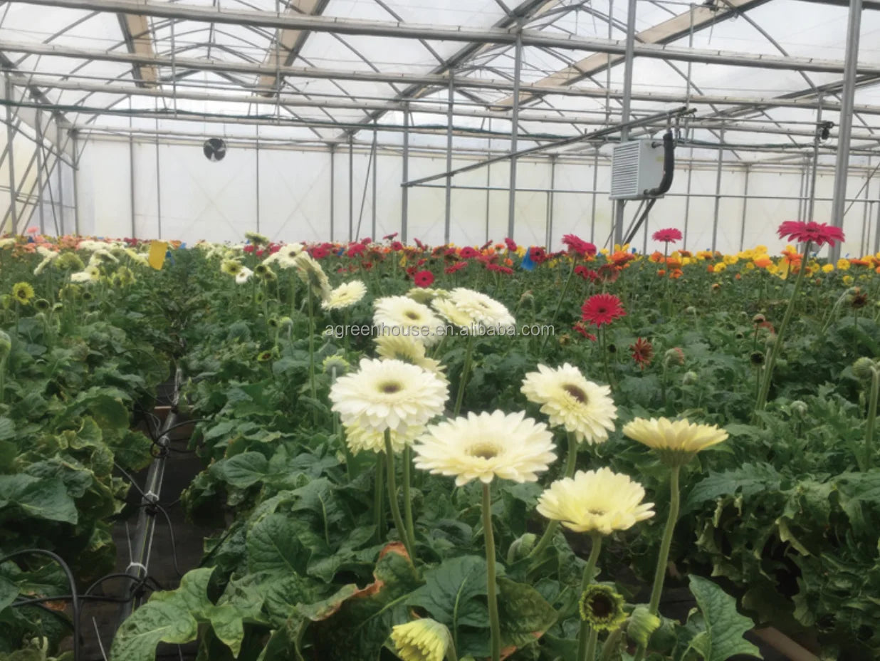 2022 Drip Irrigation Intelligent Water Fertilizer Machine for Agriculture Intelligent Fertilizer System