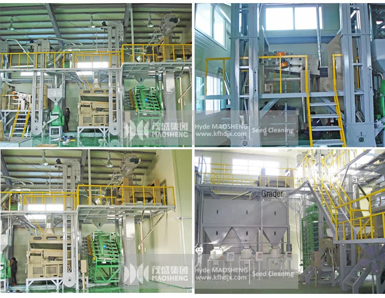 5ZT Hungry rice Chickpea Corn Millet Sorghum seed Fonio cleaning milling machines lines for sale