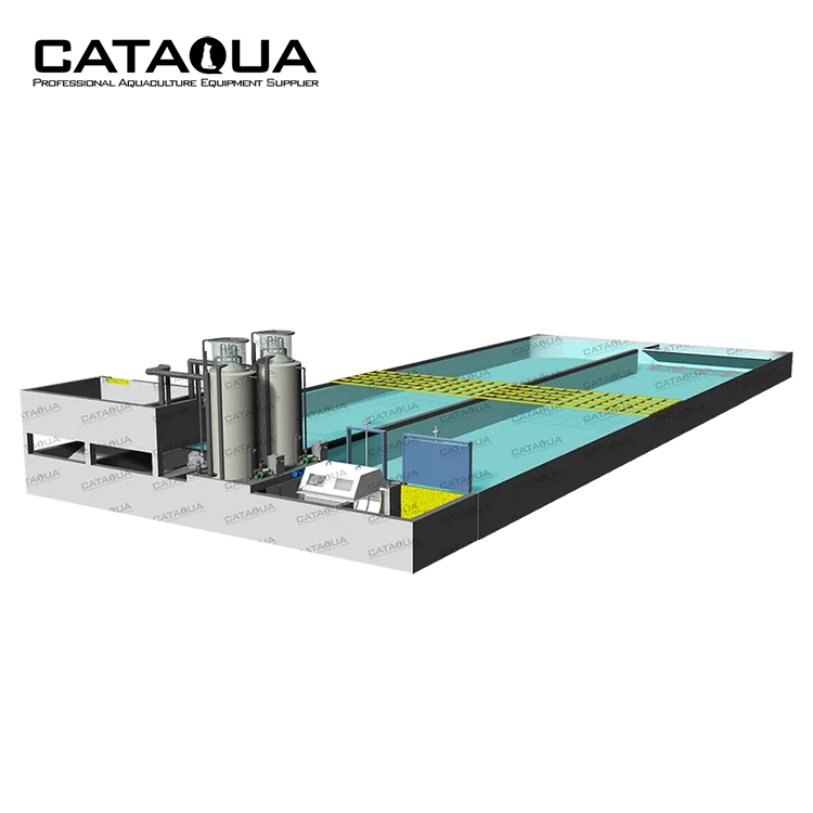 CATAQUA Raceway Tank RAS Recirculating Aquaculture Equipment Arowana Fish Farm Aquarium Systems