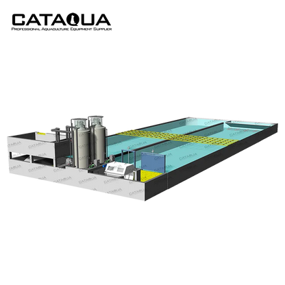 CATAQUA Raceway Tank RAS Recirculating Aquaculture Equipment Arowana Fish Farm Aquarium Systems