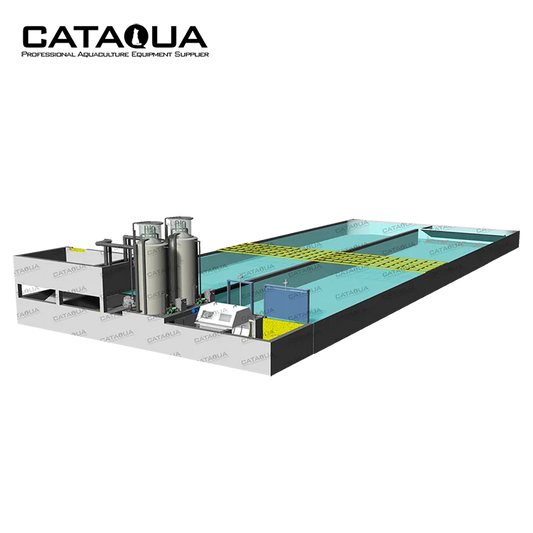 CATAQUA Raceway Tank RAS Recirculating Aquaculture Equipment Arowana Fish Farm Aquarium Systems