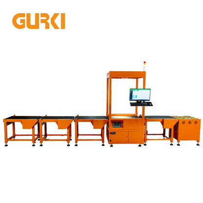 GURKI Customized Mail Sorting Machine / Parcel Sorting System / Cross Belt Sorting Conveyor for express with DWS