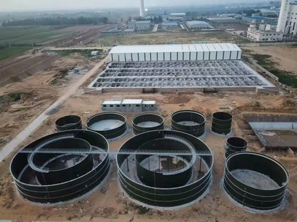 BLX Best selling Newest slaughter plant waste digester for professional biogas equipment