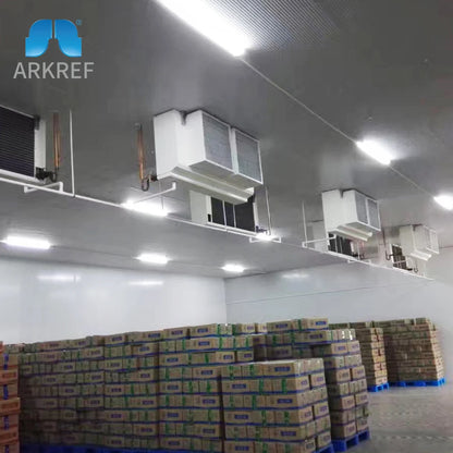 Energy Saving Refrigeration Fresh Potato Apple Fruit Vegetable Prefabricated Cold Storage Cold Room Warehouse Price