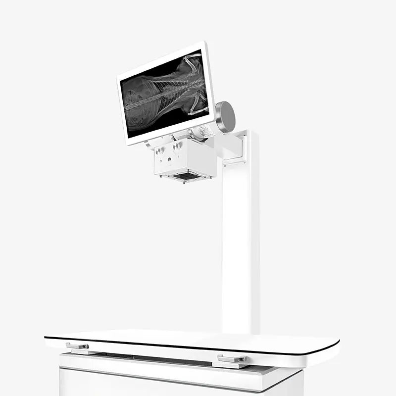 Dynamic Veterinary X ray Radiography imaging system 2023 newest model X-Ray inspection machine