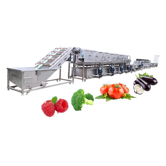 Factory Customized SUS 304 Material Multifunction Mesh Belt Conveying Vegetable/Fruits/Mushroom Washing and Processing Line