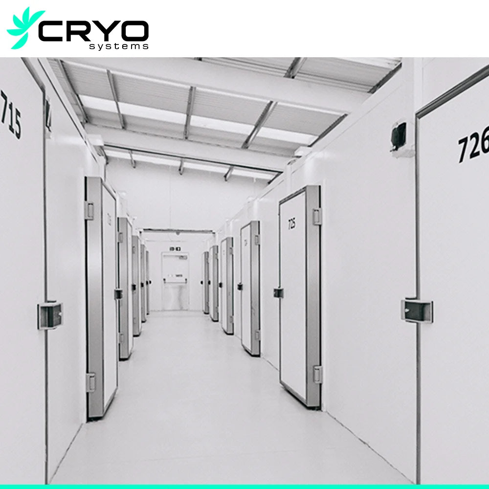 Large and Practical Cold Storage Room for Various Applications Freezer Room Efficient Walk in Cold Room
