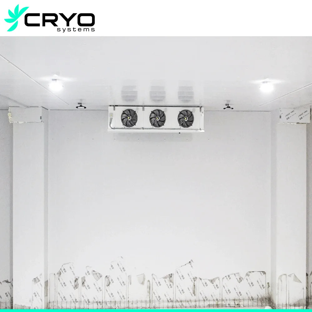 Large and Practical Cold Storage Room for Various Applications Freezer Room Efficient Walk in Cold Room