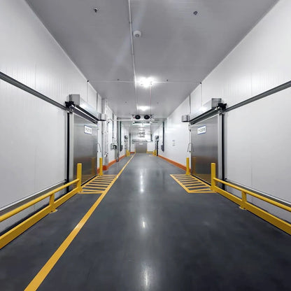 Hot fruit and vegetables Large cold storage freezer room 20000 tons