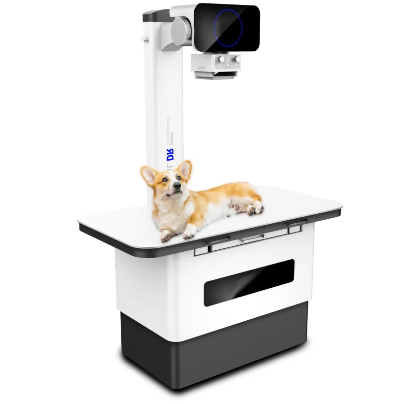 Imaging Detector Supply Aed Mode Mobile X Ray Dr Xray System Software Portable X-ray Machine Veterinary Instrument