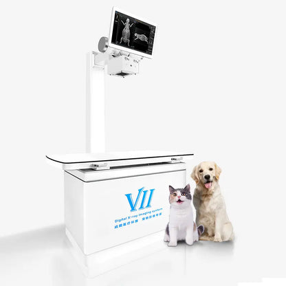 Dynamic Veterinary X ray Radiography imaging system 2023 newest model X-Ray inspection machine