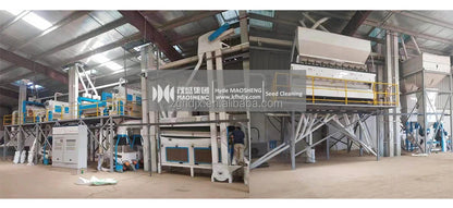 5 T agriculture equipment grain coriander seed processing machine wheat/ sesame/ bean /maize /corn /cotton seed sorting machine
