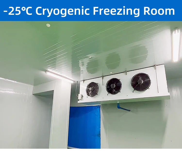 Arkref Industrial Quick Freezing Medium Large Butcher Butchery Equipment Slaughterhouse Cold Room Storage Refrigerator