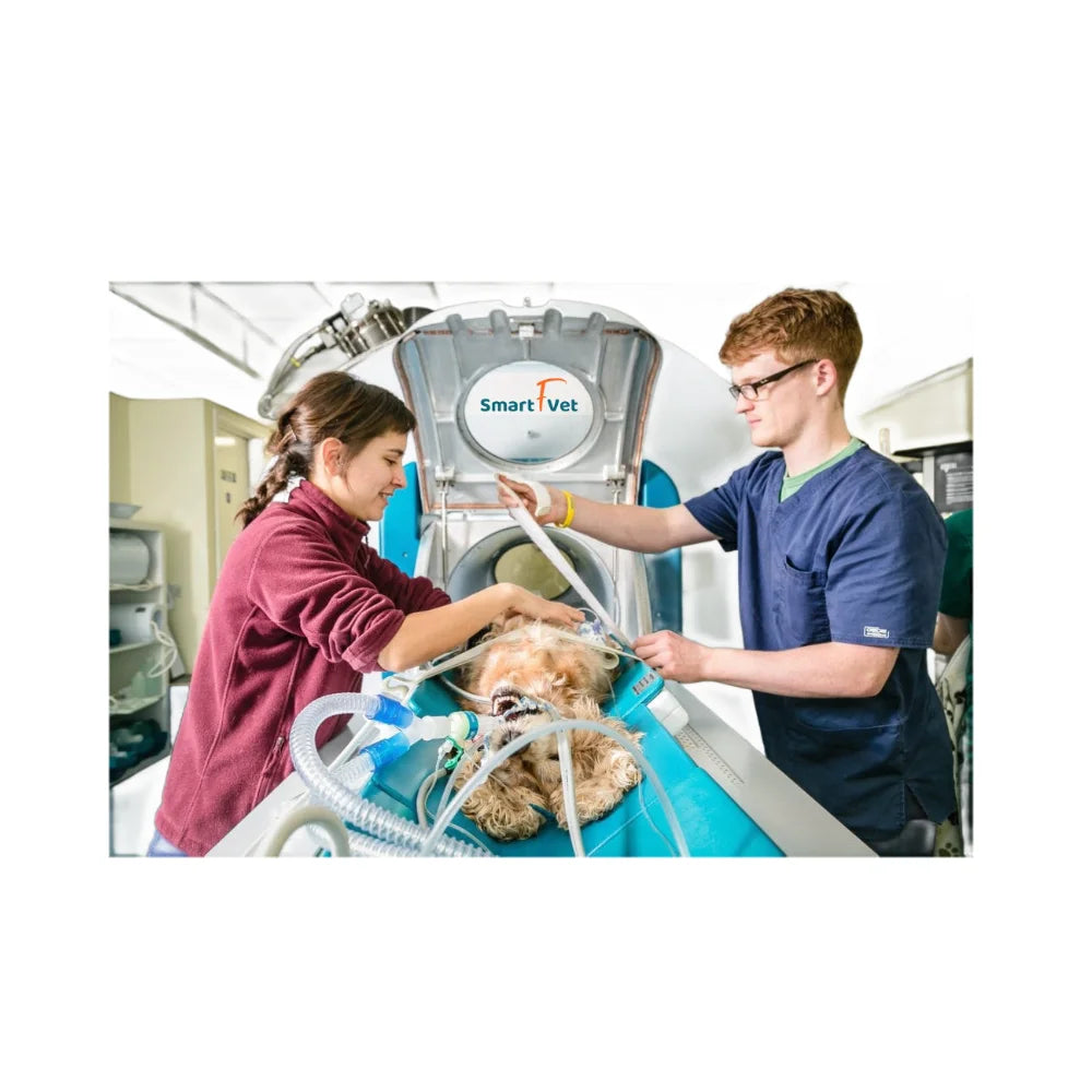 Smart F Vet Veterinary Equipment Animal Animal MRI Scan Magnetic Resonance Imaging System Equipment