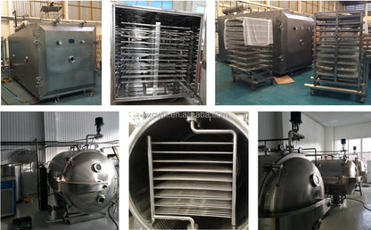 CW fruit food herbal extract in industry vacuum tray dryer  vacuum chamber drying oven machine