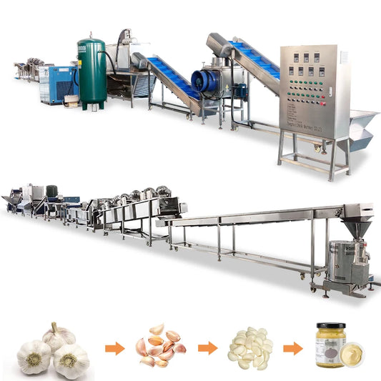 industrial automatic Full Set Garlic Production Line Includes Garlic Cleaning Breaking Peeling Sorting processing Machine