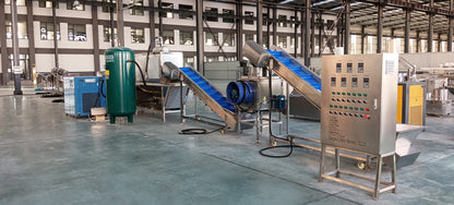 industrial automatic Full Set Garlic Production Line Includes Garlic Cleaning Breaking Peeling Sorting processing Machine