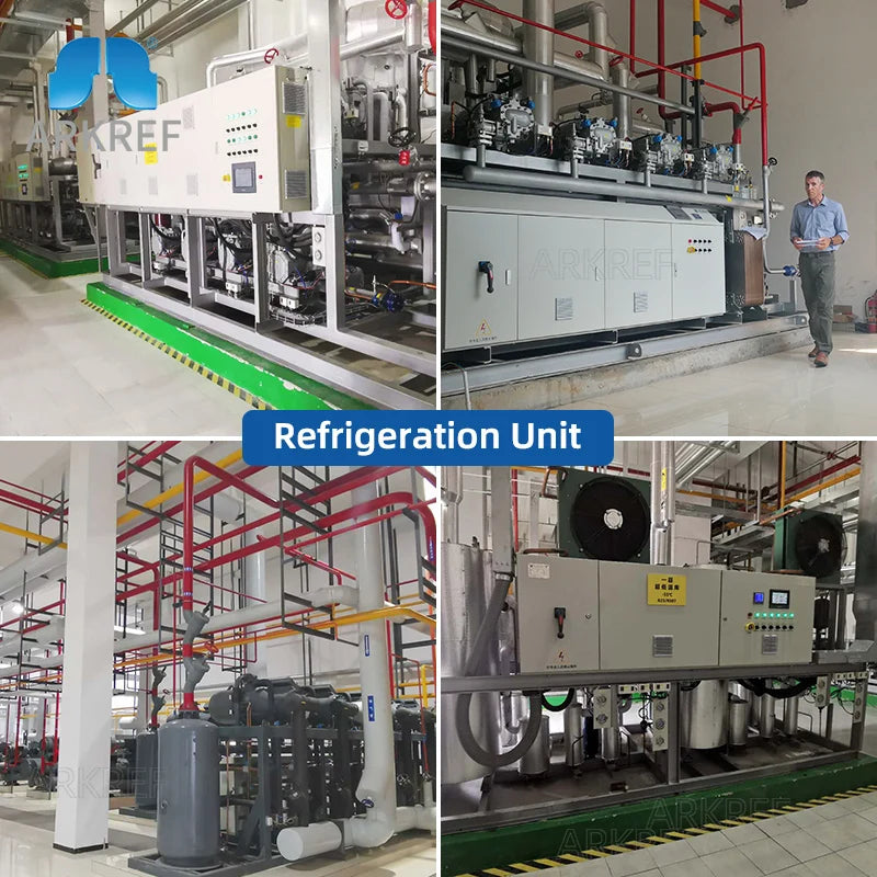 Arkref Industrial Quick Freezing Medium Large Butcher Butchery Equipment Slaughterhouse Cold Room Storage Refrigerator