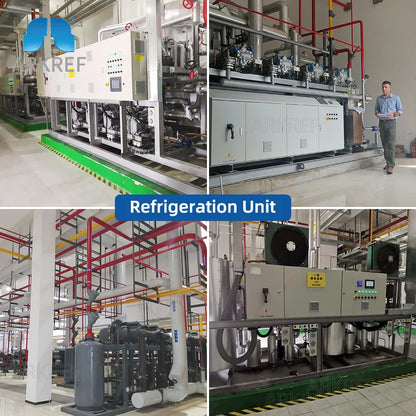 Arkref Industrial Quick Freezing Medium Large Butcher Butchery Equipment Slaughterhouse Cold Room Storage Refrigerator