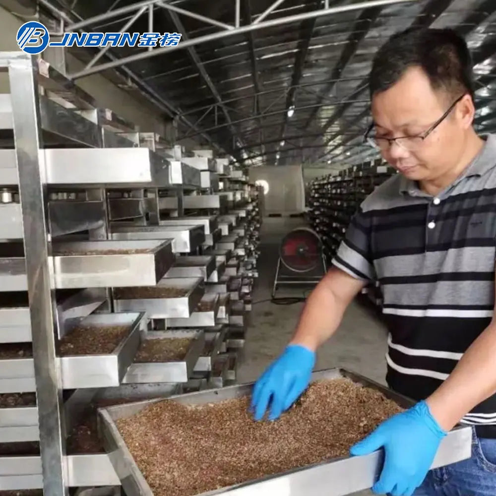 Black soldier fly rearing production systems bsf equipment